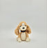 Cavalier Puppy
